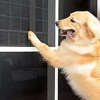 Photo of a dog scratching screens with Pet Screen material installed.